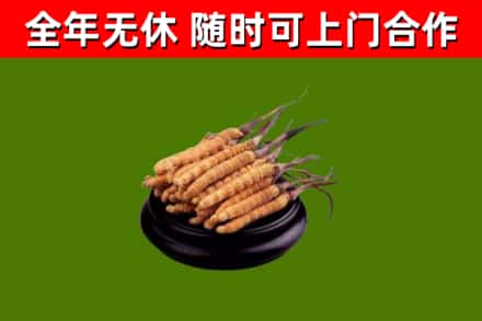 兰溪市烟酒回收冬虫夏草.jpg